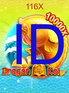 DragonKoi