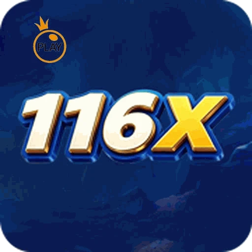 116X Logo